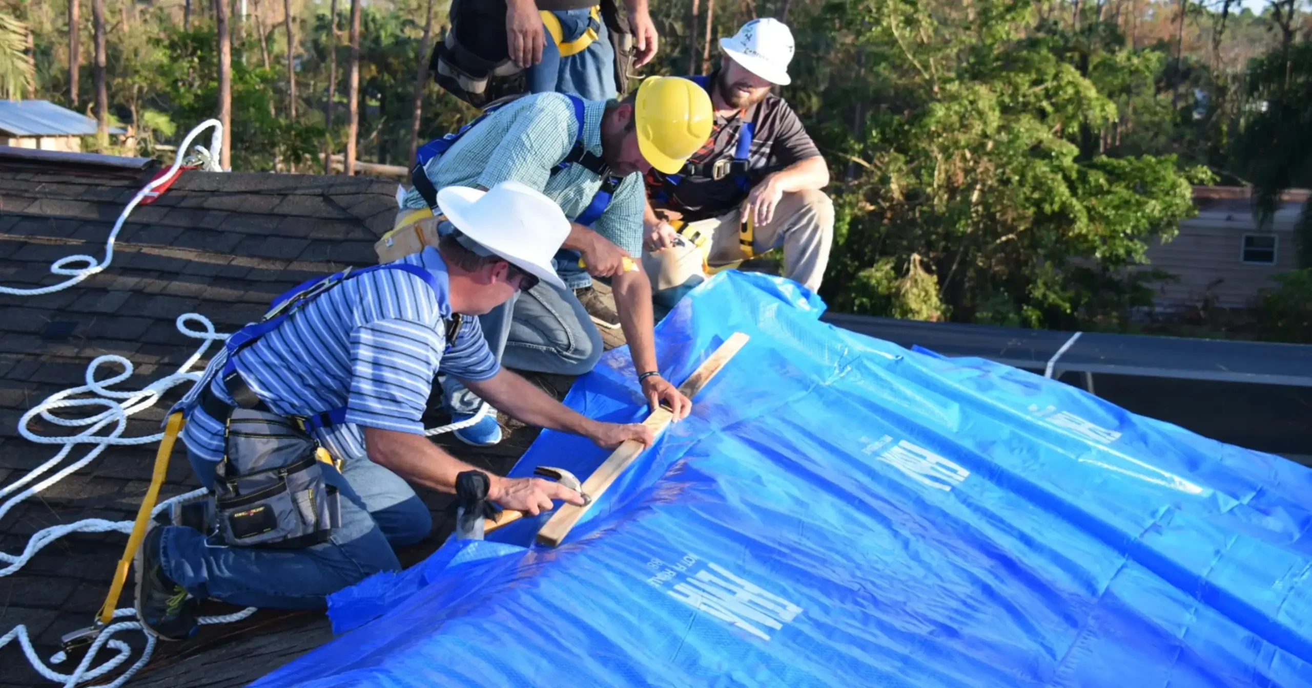 636412486795192148-Blue-20Roof-202 (1)